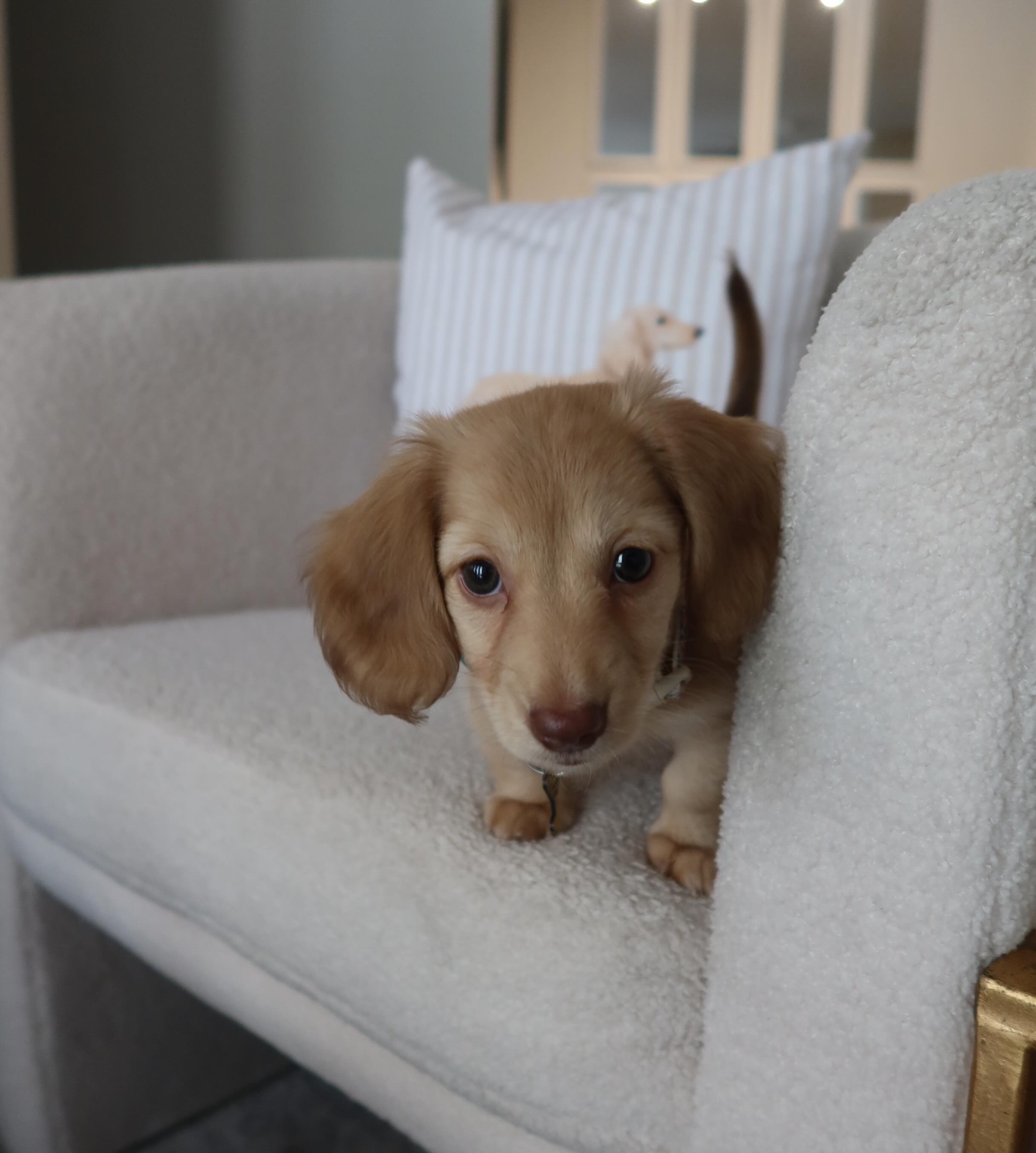Betty, photo 3