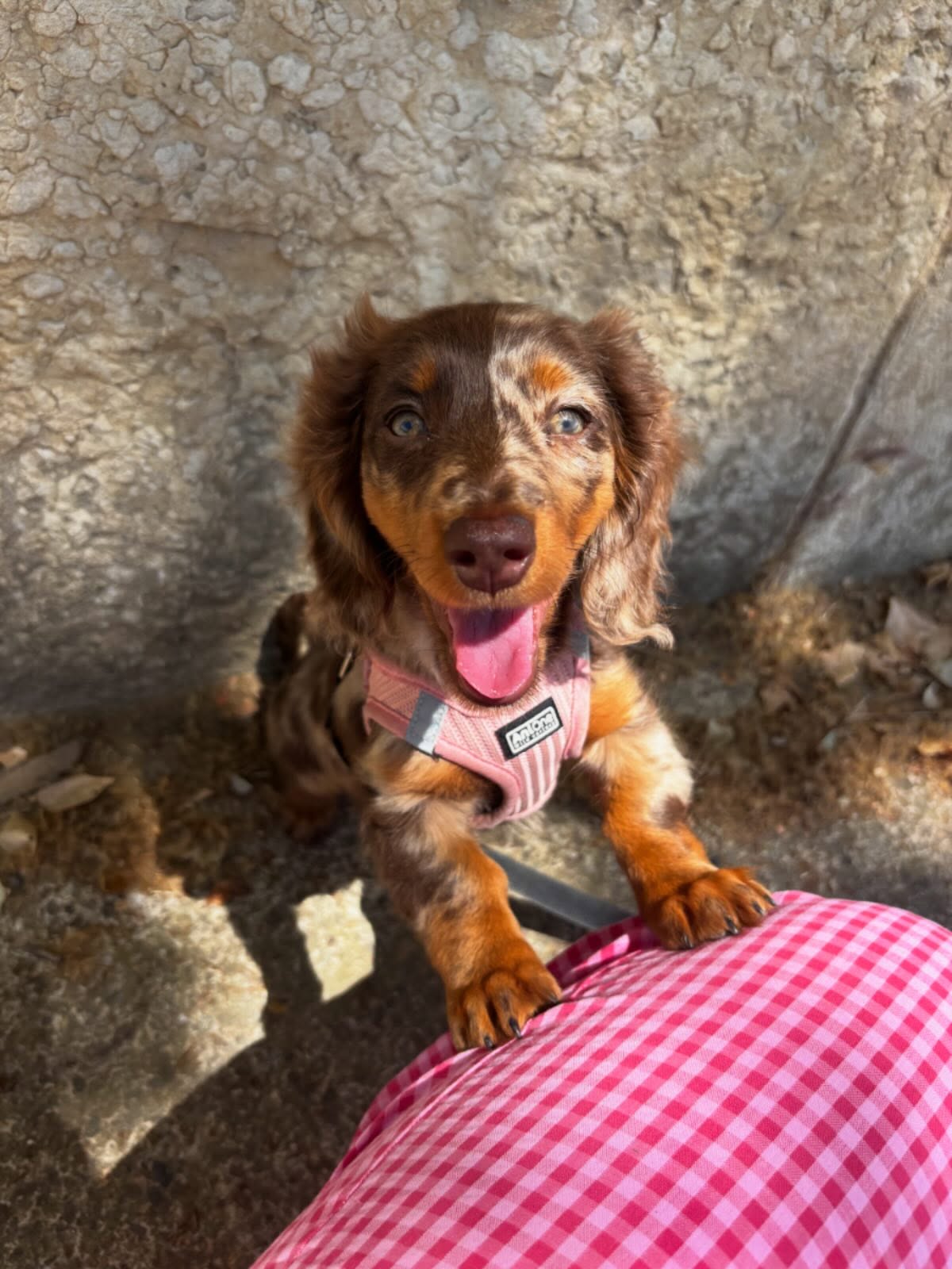 Luna, photo 1