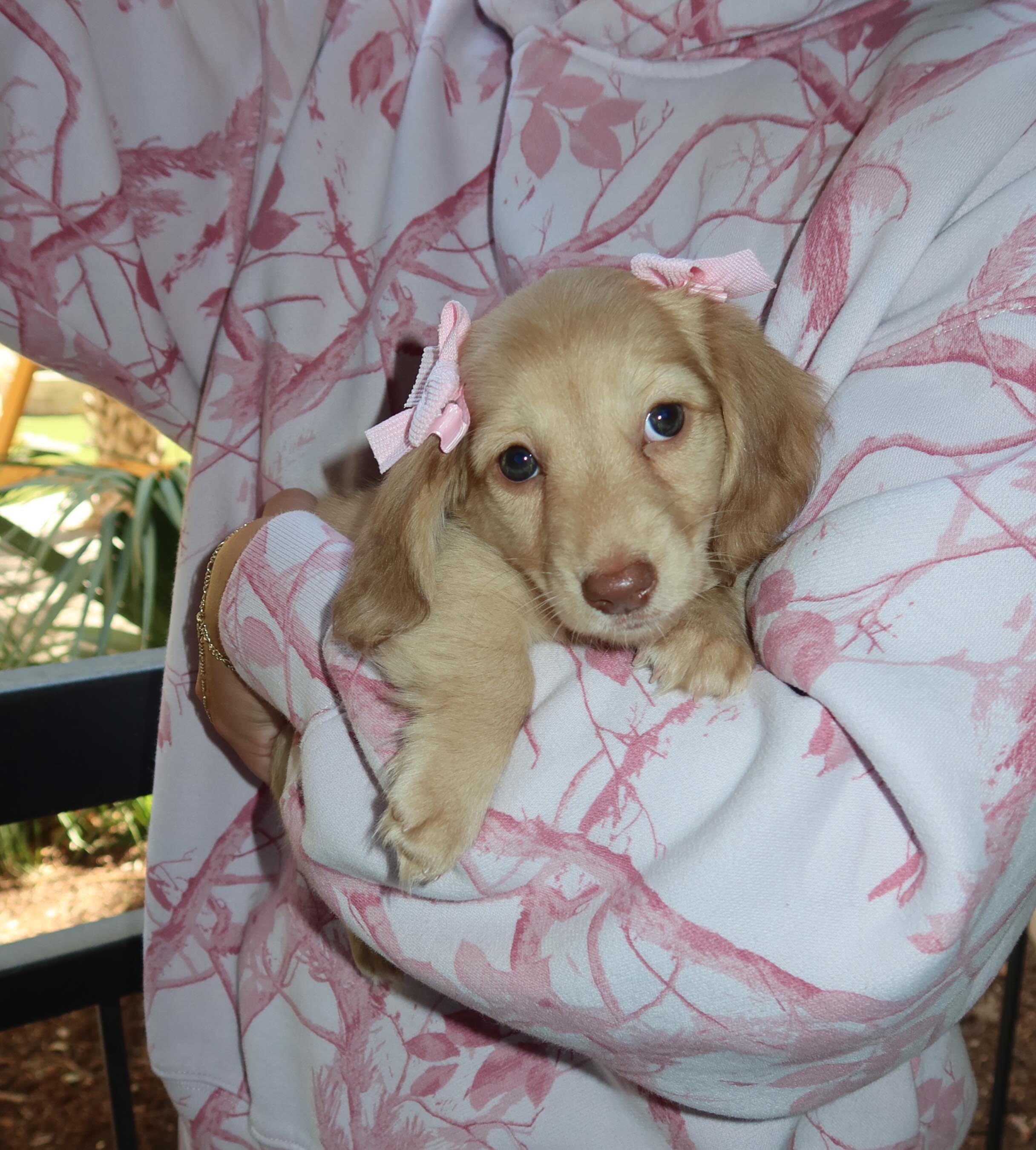 Betty, photo 1